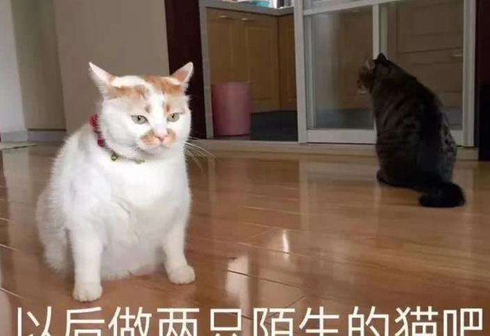 情侣冷战破冰第一句话 冷战怎么和好第一句