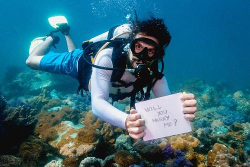 男生适合求婚的歌曲有哪些 十首求婚背景音乐