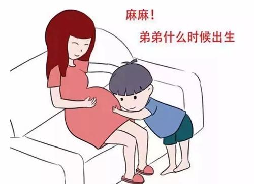 2021年生育险能报销多少钱