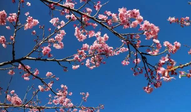 情侣必去的旅游景点 情侣适合去什么地方旅游