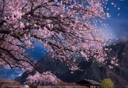 哪些地方适合情侣旅游 哪些地方适合情侣旅游