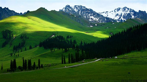 配风景照的文案