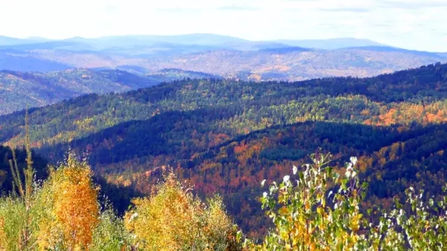 时光清浅处,一步一安然旅游文案