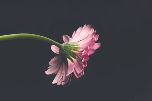 被不喜欢的人表白怎么拒绝