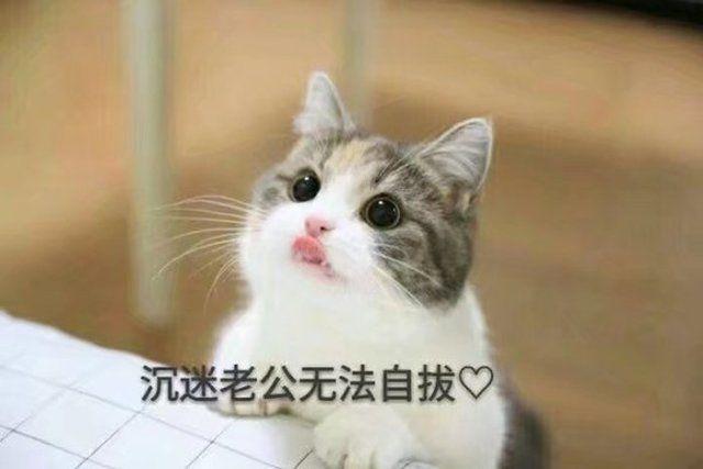 夸男孩子的彩虹屁语录 彩虹屁语录夸男生长篇