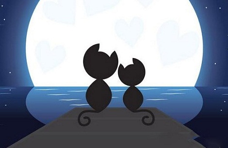 相亲对象微信聊天攻略