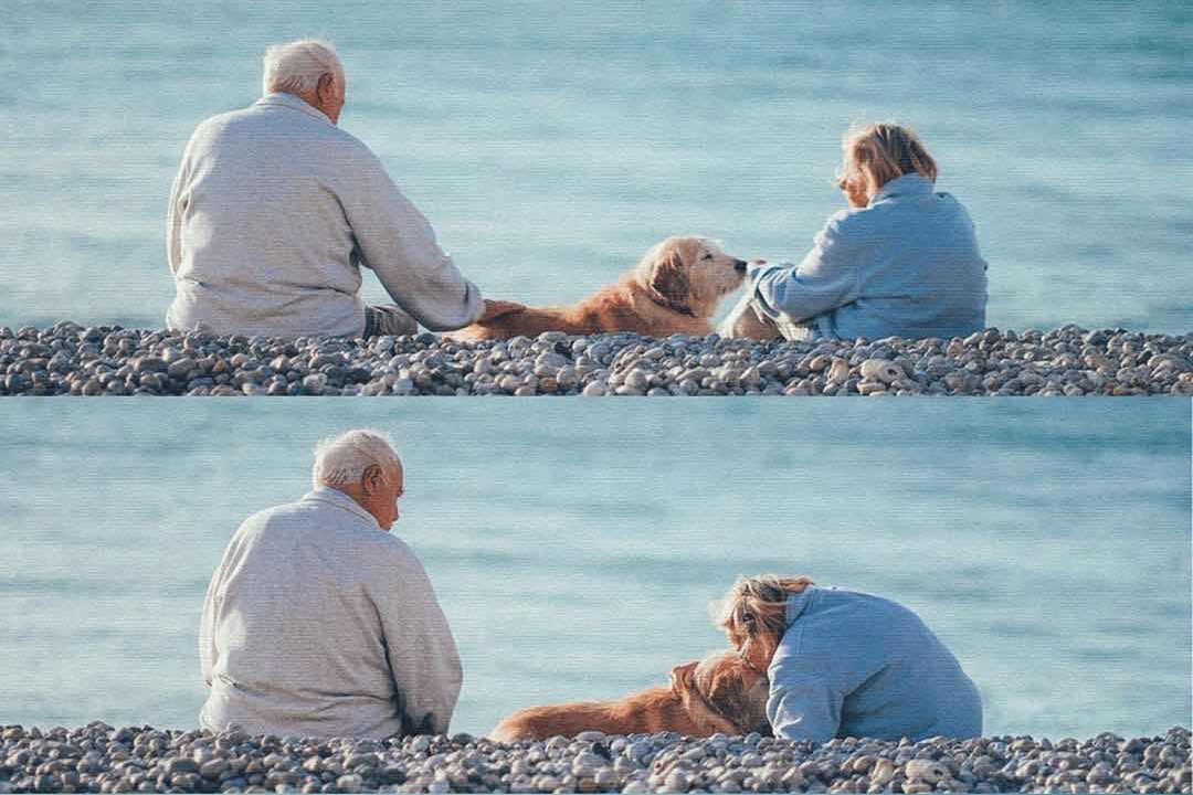 适合结婚纪念日的配图