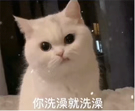 恋爱专用表情包