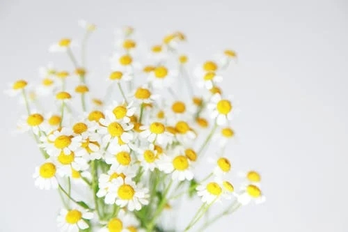 如何拒绝别人的表白 怎么拒绝别人的表白