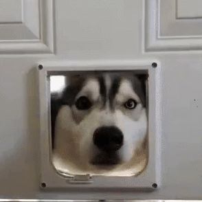 叫男朋友起床的小甜话 叫男朋友起床的撒娇句