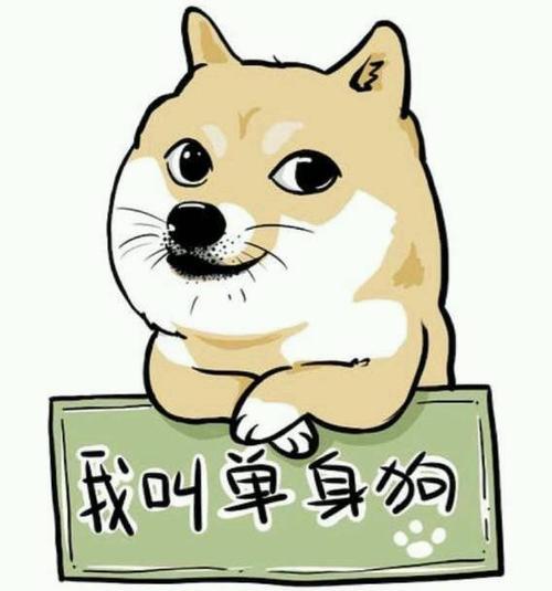 春节出租本人价格表 本人出租价格表图片