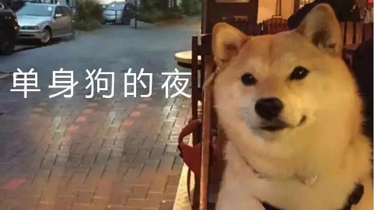 本人出租价格表图片