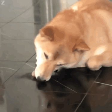 快过年了出租自己的价格表