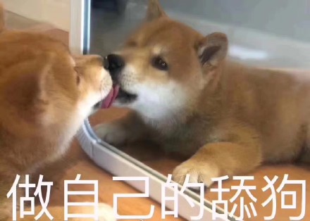 单身寻找另一半的句子