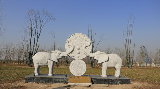 十四年象牙婚微信说说