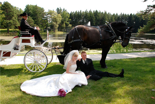 结婚20年最朴实的感言