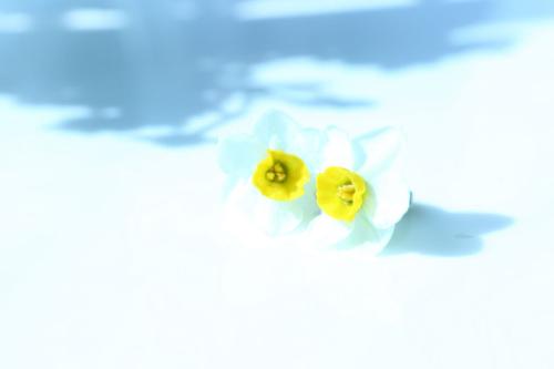 结婚十四年纪念日感慨的语言