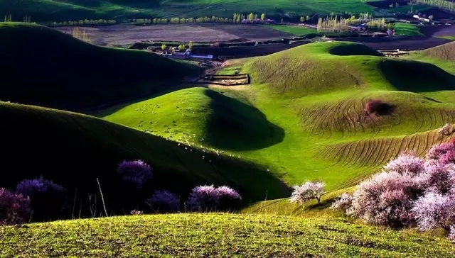 祝福蜜月旅行愉快的句子