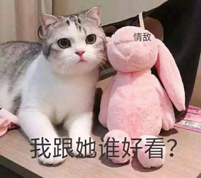 和女生聊天的30个话题,