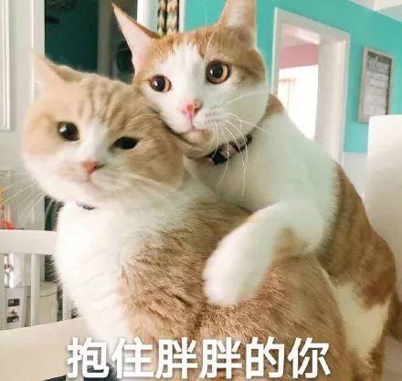 高情商分手挽回最有效说话 分手挽回最有效说话