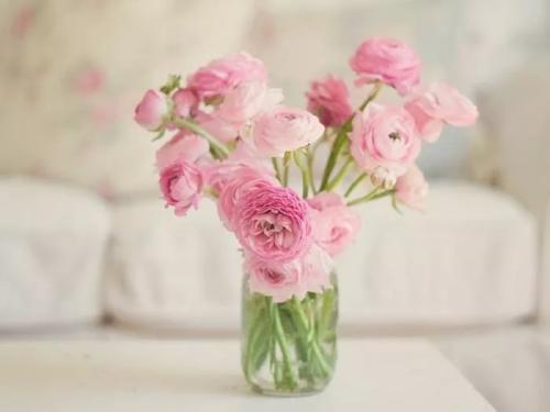 三八妇女节送什么花 三八妇女节送什么花比较好