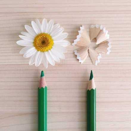 三八妇女节的祝福句子 关于三八妇女节的祝福语