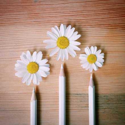 关于三八妇女节的祝福语