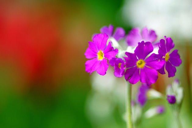  春天的气息的优美句子文案