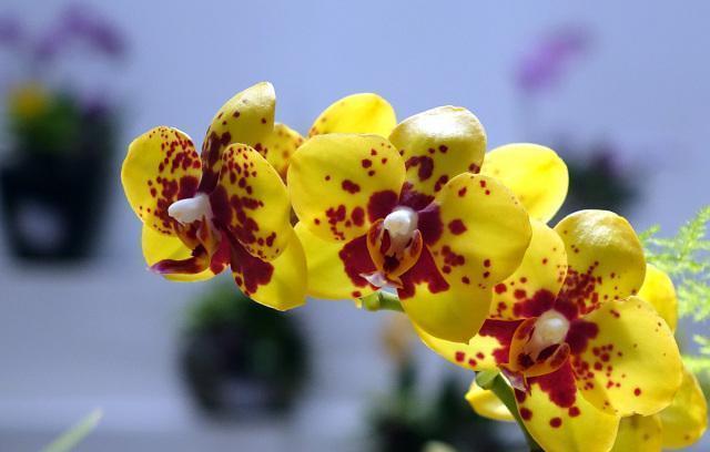 给女朋友发一段心里话