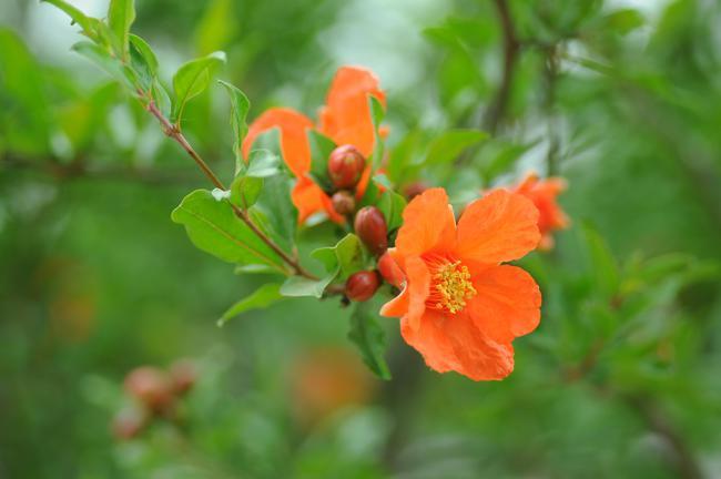 给女朋友发一段心里话