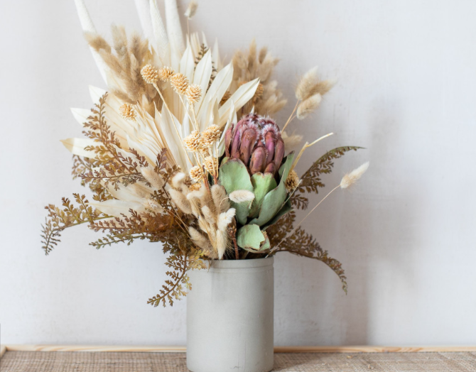 祝福永远年轻漂亮句子