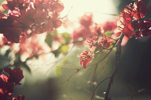 春游的句子短句唯美 春游的句子短句唯美说说