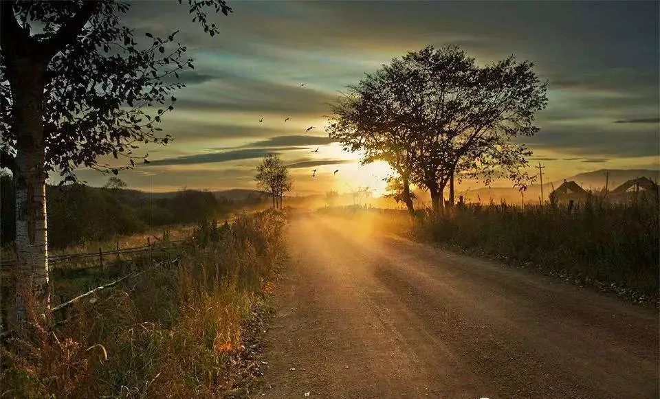 春天游玩适合发朋友圈的句子