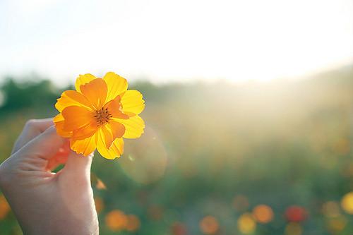 三八妇女节的祝福句子