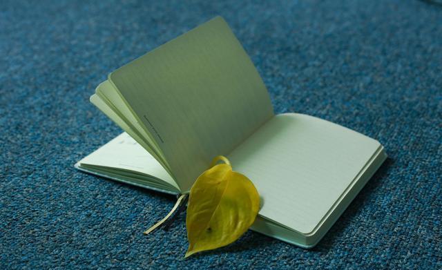 三八节祝福语短句