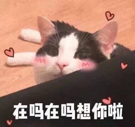 女神节给女朋友的祝福语 女神节祝福女生的话