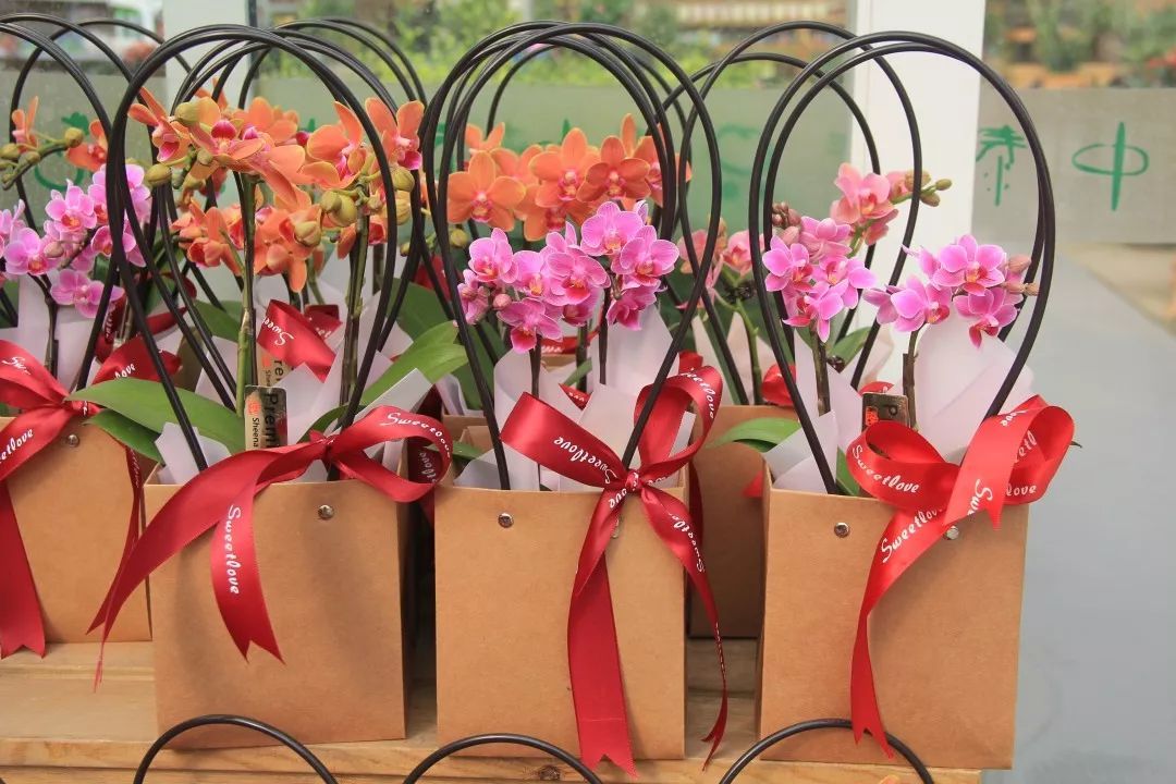 女神节送女朋友什么花