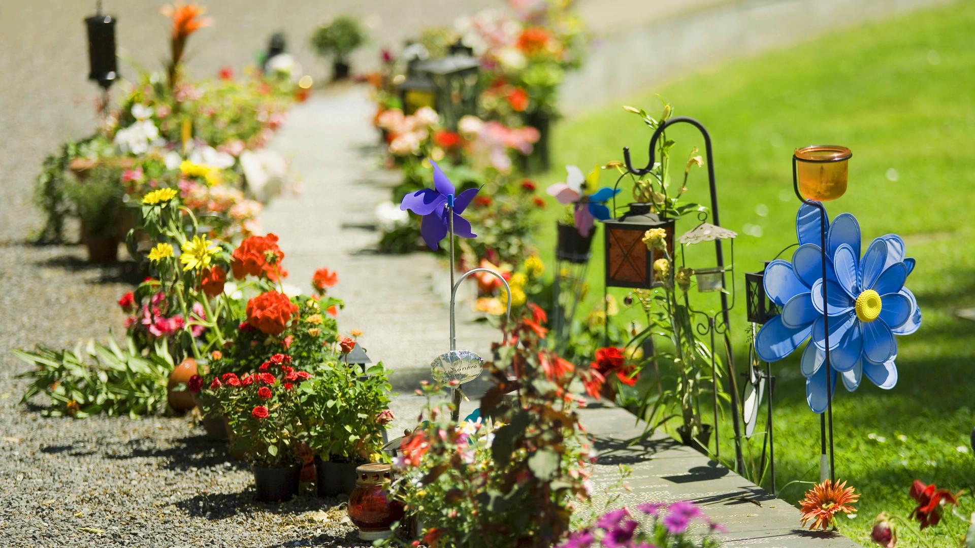 超可爱的表白文案