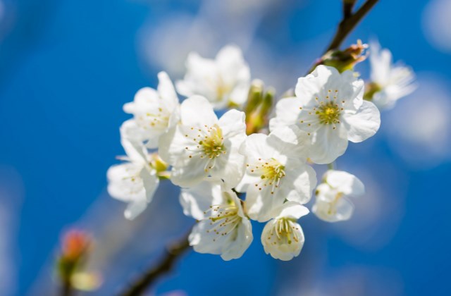 踏春发朋友圈的句子