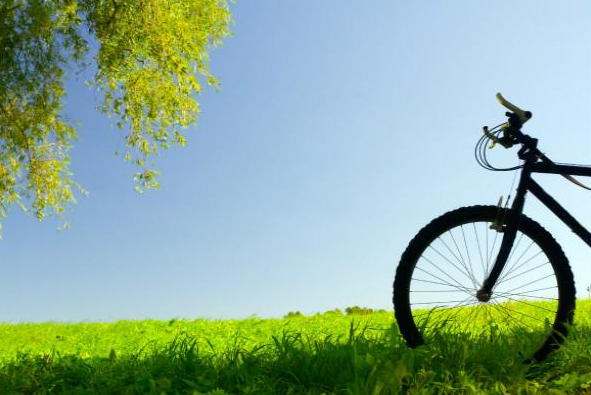 踏春的优美句子 踏春的优美句子简短