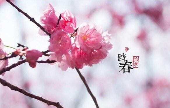 一家人踏春的句子简短