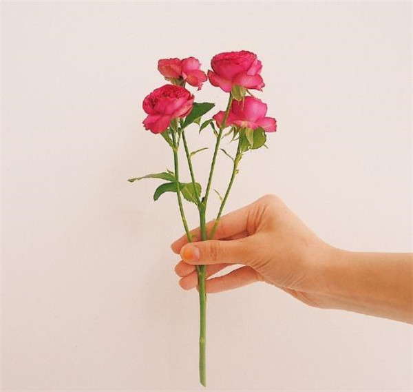 适合七夕表白的情话