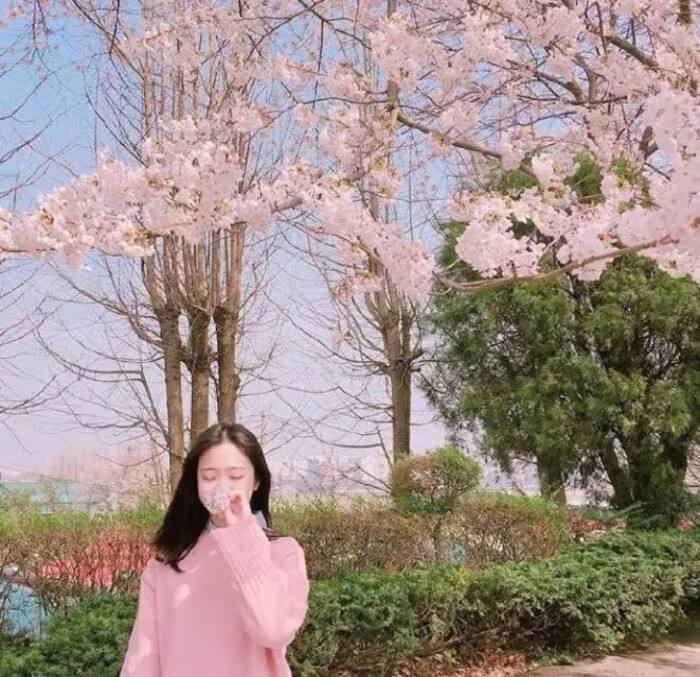 520一句表白情话短句