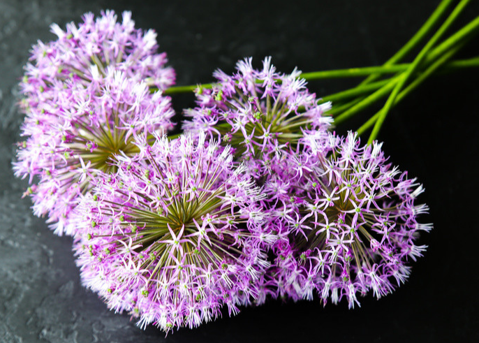 简短三八节感言 三八祝福语幽默