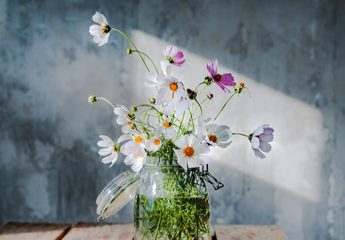 三八祝福语幽默