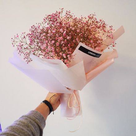 白色情人节送什么花