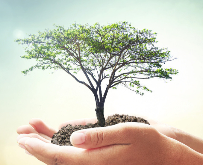 我国的植树节是哪一天