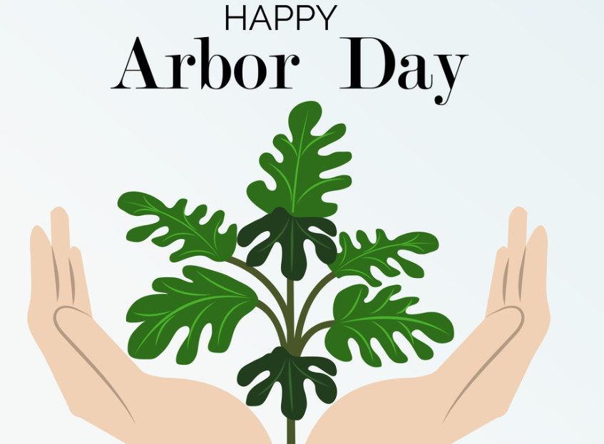 植树节的由来25字 植树节的好处30字