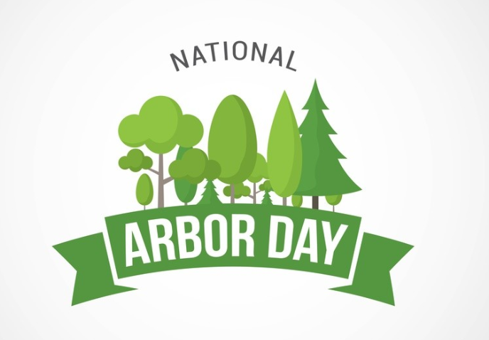 小学生植树节标语 植树的口号和标语