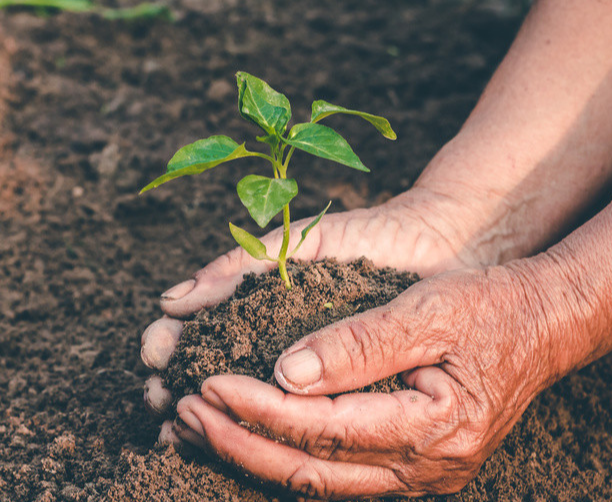 植树节活动宣传标语 